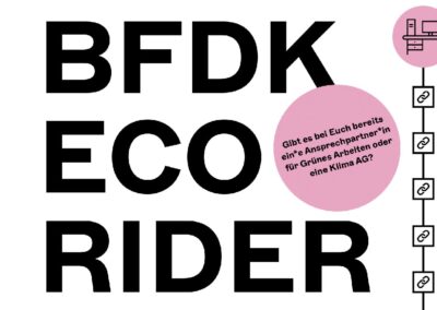 BFDK ECO Rider